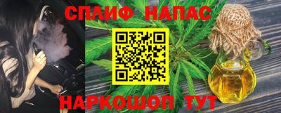 ешки Моздок