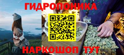 дмт Можайск