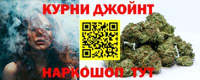 сатива Можга