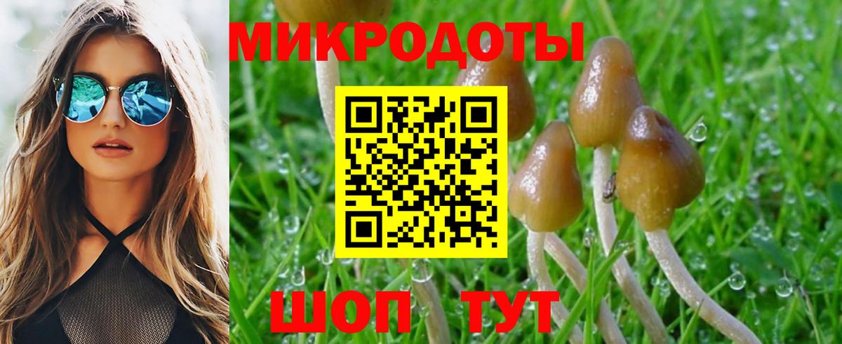 Псилоцибиновые грибы мухоморы Электрогорск